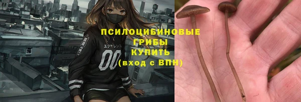круглые Алексеевка