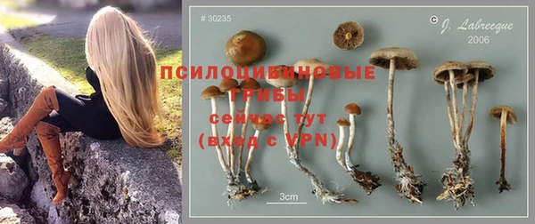 кокаин перу Алзамай