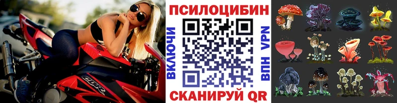 МЕГА ССЫЛКА  Невьянск  Псилоцибиновые грибы Psilocybe 